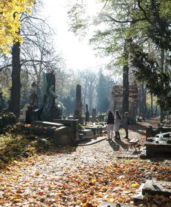 Wszystkich Świętych 2021. Uwaga, zmieniły się godziny otwarcia cmentarzy