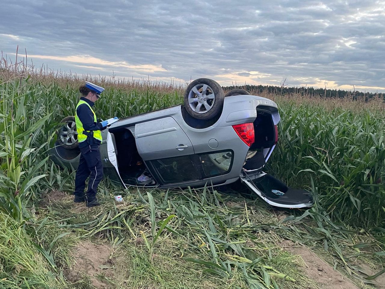 55-latka wylądowała w polu kukurydzy. Otrzymała 63 punkty karne