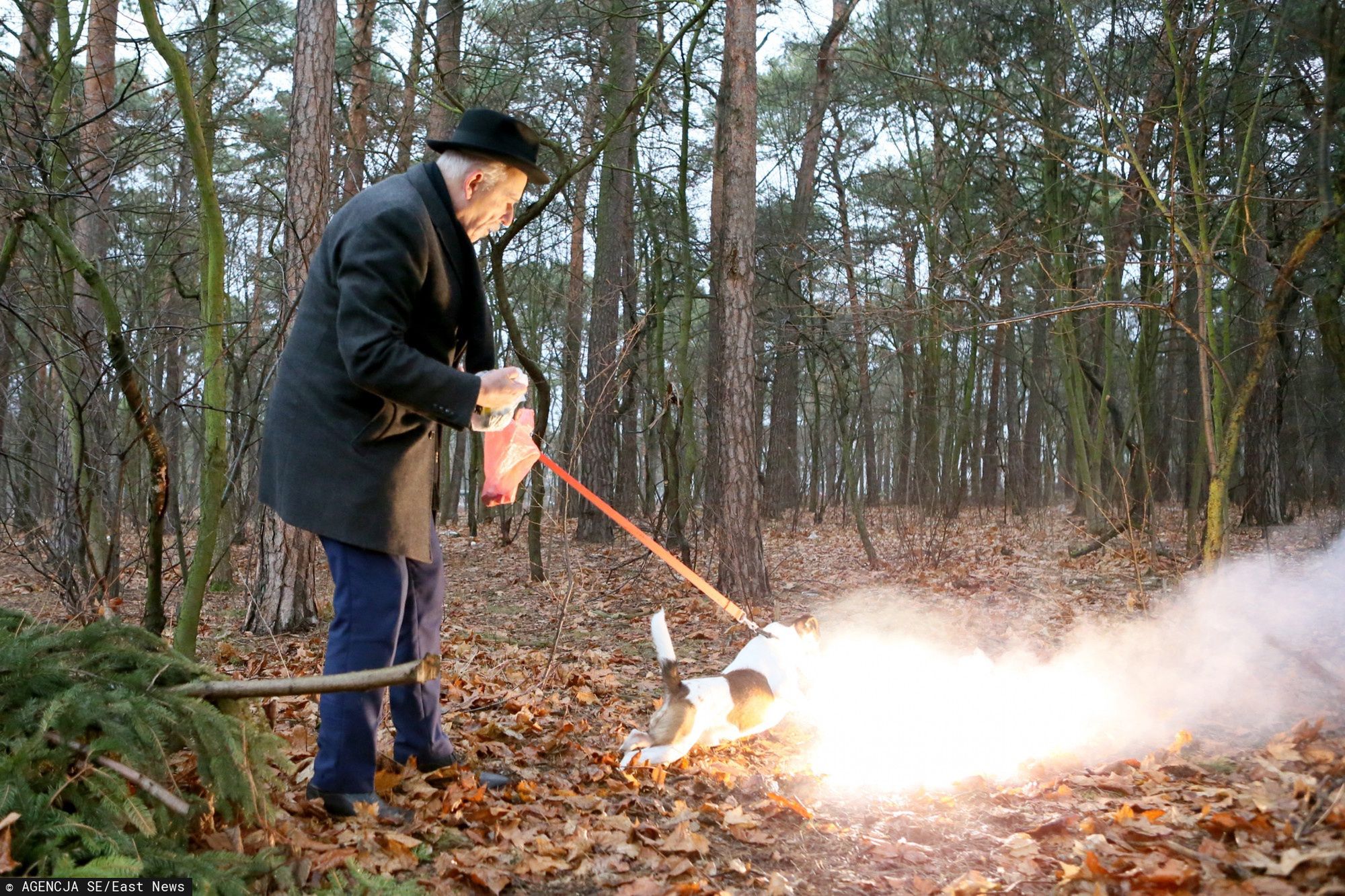 Janusz Korwin-Mikke