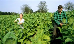 Kontrowersyjna branża protestuje w Warszawie. Poszło o podatki