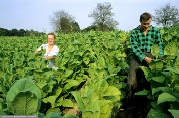 Kontrowersyjna branża protestuje w Warszawie. Poszło o podatki