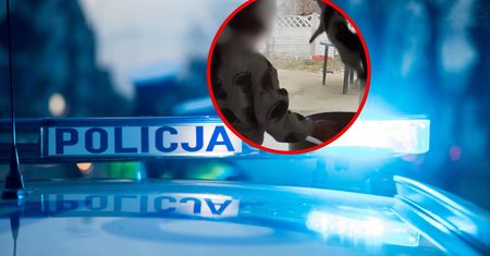 Dziecko znęcało się nad kotem. Matka oskarżona