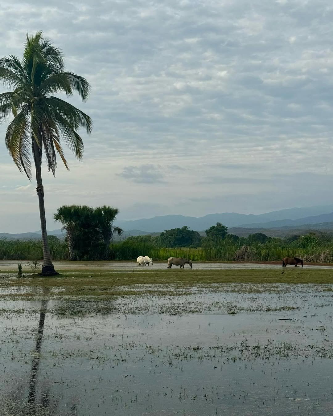 Daria Zawiałow pokazała fotorelację z wyjazdu