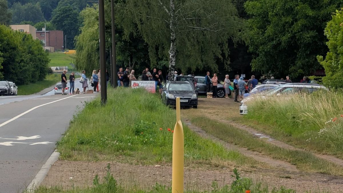 Mnóstwo ludzi przyszło po truskawki.