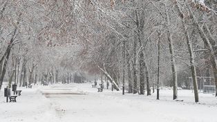 Łódź: Zaczyna się meteorologiczna zima. Czy na święta spadnie śnieg?