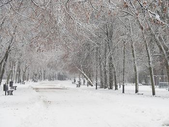 Łódź: Zaczyna się meteorologiczna zima. Czy na święta spadnie śnieg?
