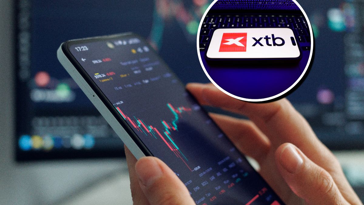 Rośnie liczba oszukanych użytkowników XTB