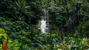 600 tys. zgonów rocznie. Najgroźniejsze zwierze na świecie