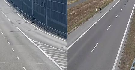 Szokujące sceny na ekspresówkach w Lubelskiem. Biegacz na S12 i rowerzysta na S19
