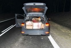 Zwierzę wpadło do auta. Ranny kierowca w wypadku pod Biłgorajem