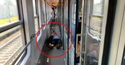 Pokazał zdjęcie z pociągu PKP Intercity. "Facet położył się w korytarzu"