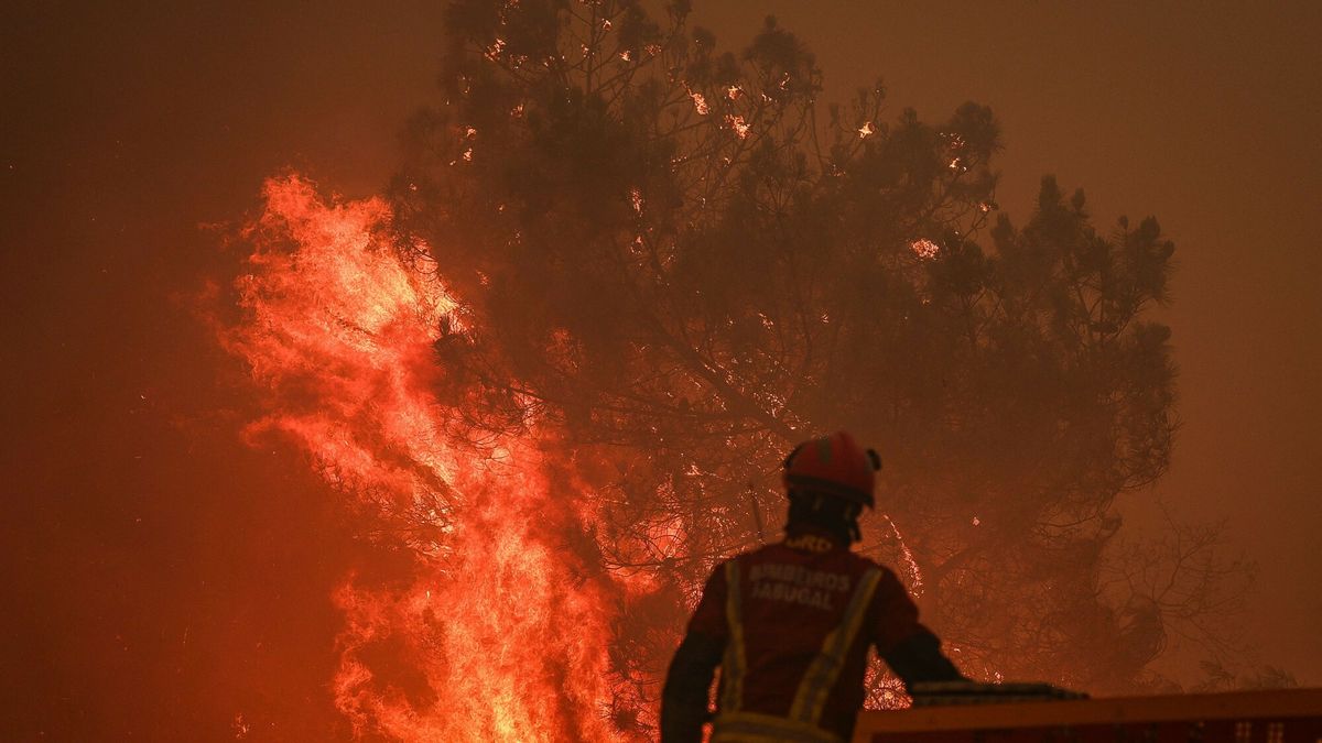 Temporary
A firefighter stands at a firefighter truck as a wildfire approaches Benvende village, in Trancoso, Portugal on August 14, 2025. Southern Europe continued to endure its hellish summer on Thursday, suffering from a heatwave that has now lasted almost two weeks and forest fires that have left a third person dead in Spain. (Photo by PATRICIA DE MELO MOREIRA / AFP)
PATRICIA DE MELO MOREIRA