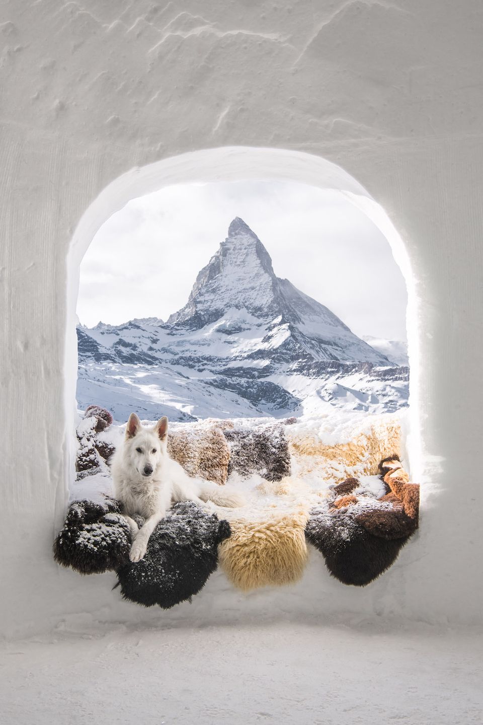 Zobacz wczesne zgłoszenia do Sony World Photography Awards 2019 16