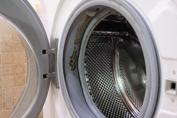 Wrzuć do pralki. Wypłucze pleśń z każdego zakamarka