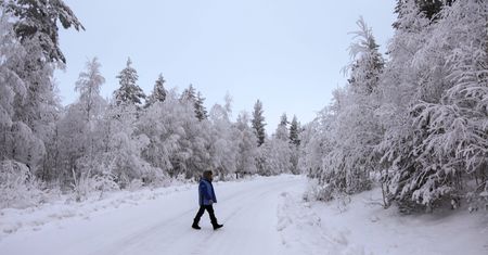 Rekordowe mrozy w Laponii. Pierwsza taka temperatura tej zimy