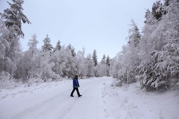 Rekordowe mrozy w Laponii. Pierwsza taka temperatura tej zimy