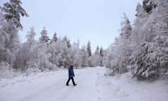 Rekordowe mrozy w Laponii. Pierwsza taka temperatura tej zimy