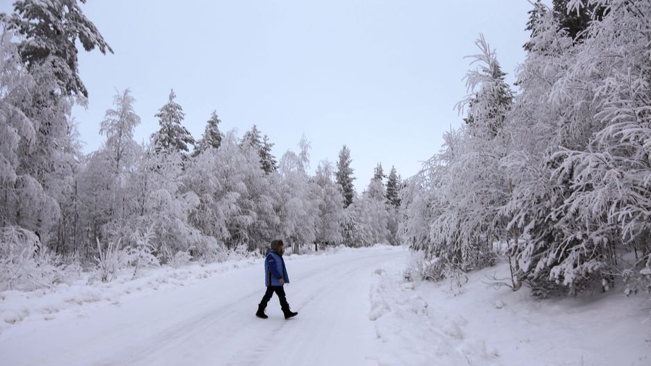 Finland's fairytale city of Rovaniemi awaits its visitors
LAPLAND, FINLAND - NOVEMBER 23: People take a walk in the forests in Rovaniemi, Lapland, Finland on November 23, 2023. Snowfall and cold weather are effective in the city of Rovaniemi, Lapland, which is among the important routes of tourists who want to see the 'Northern Lights', a natural phenomenon that takes place at certain times of the year. ?smail Duru / Anadolu 
Dostawca: PAP/Abaca
AA/ABACA
cold, cold weather, Fairy, fairytale, Finland, Lapland, Natural, Natural Phenomenon, north, Northern Lights, Rovaniemi, snow, snowfall, tourism, Tourist, visit, visitor