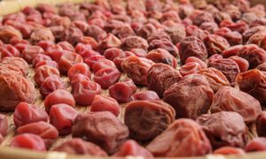 W Polsce mało kto je zna. W Japonii stanowią postawę codziennej diety