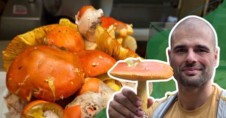 Kosztuje nawet 600 zł za kilogram. Polakowi udało się go znaleźć