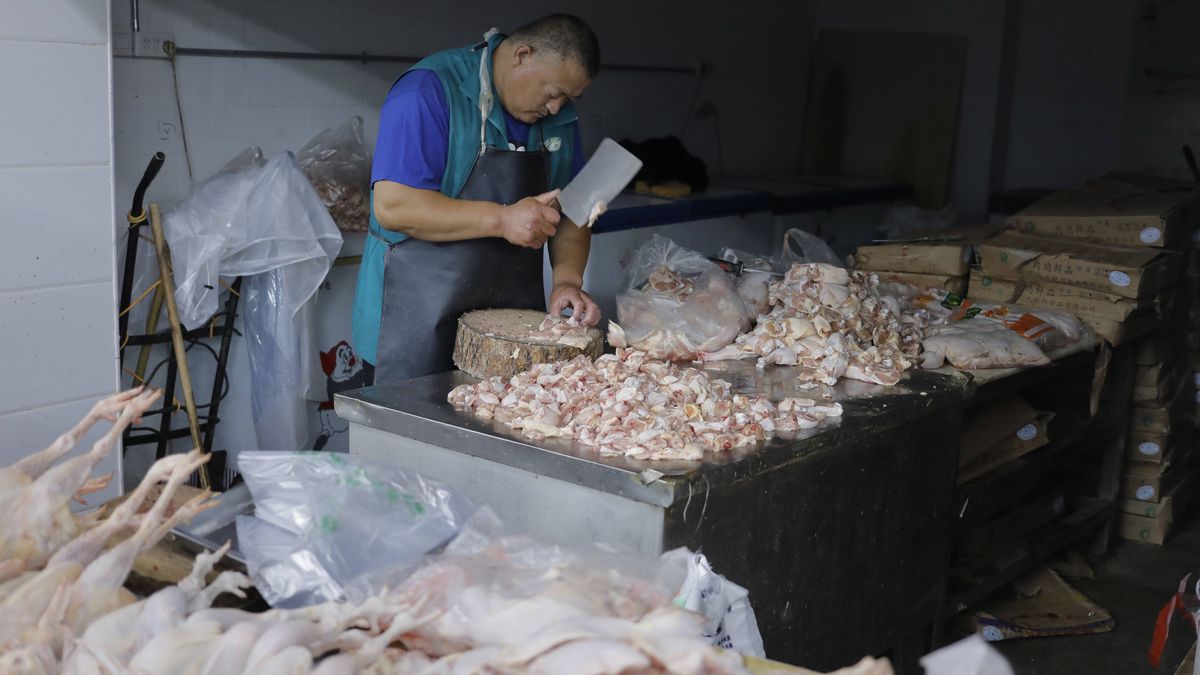 Chińskie służby twierdzą, że znalazły koronawirusa w importowanych skrzydełkach