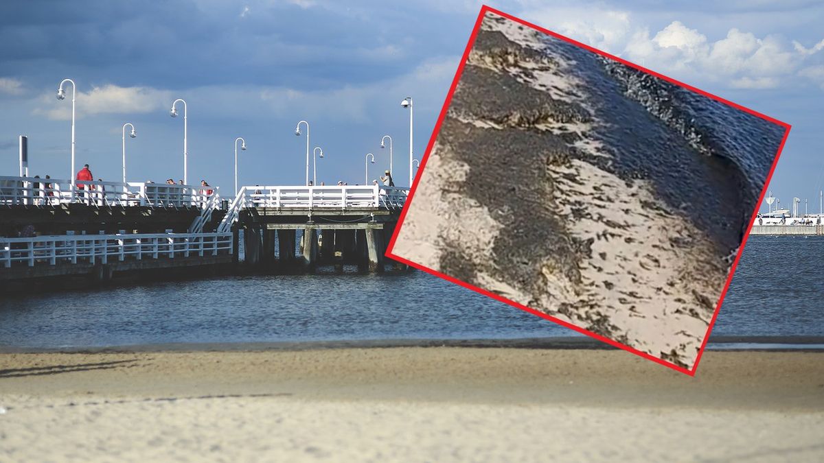 Woda w niektórych miejscach w Sopocie nie zachęca do kąpieli.