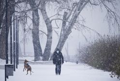 Pogoda. IMGW ostrzega przed zamieciami śnieżnymi, spadnie nawet pół metra śniegu