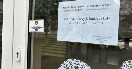 Gigantyczny protest w Czechach. Strajkuje nawet milion osób