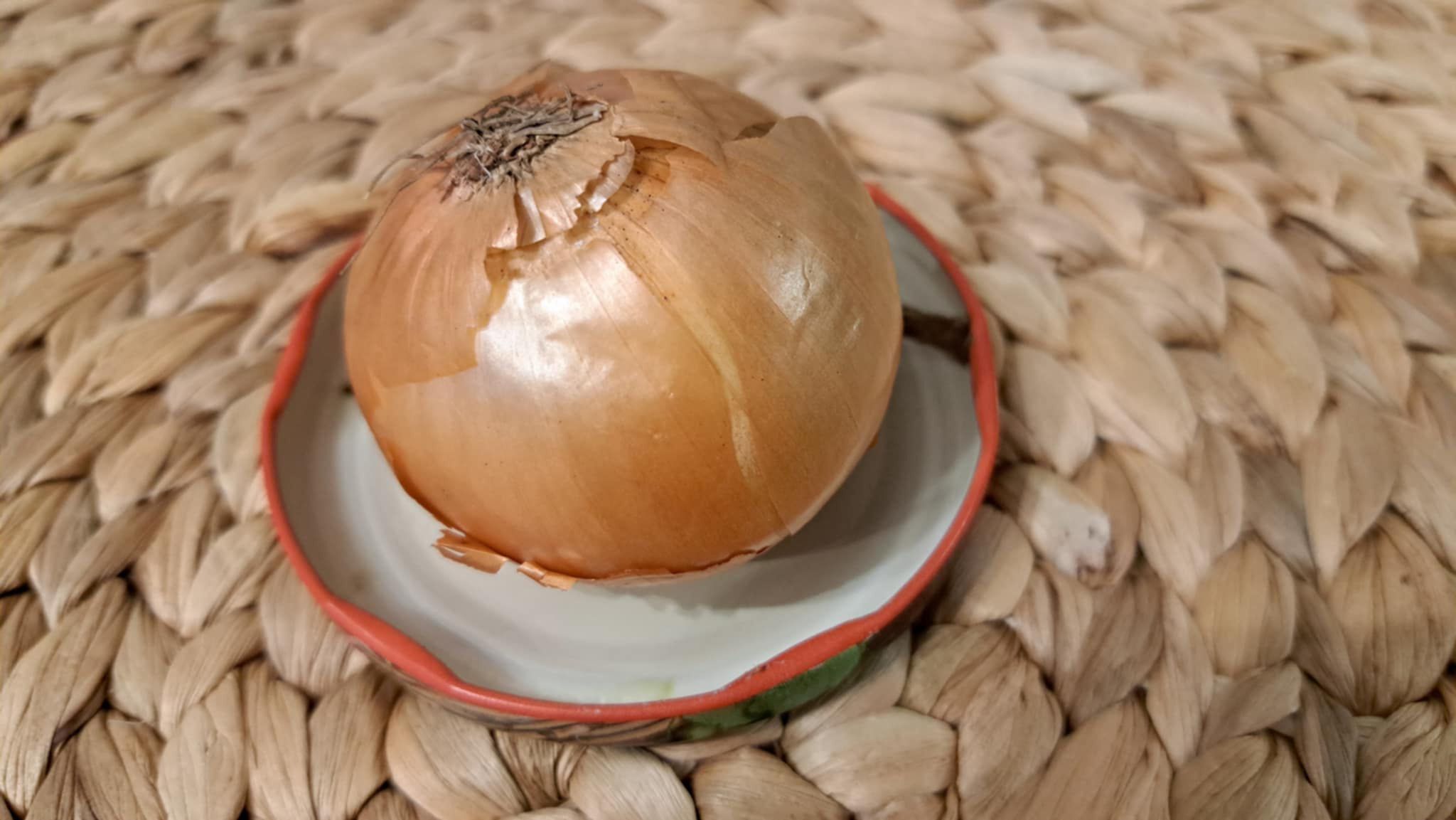 Cebula