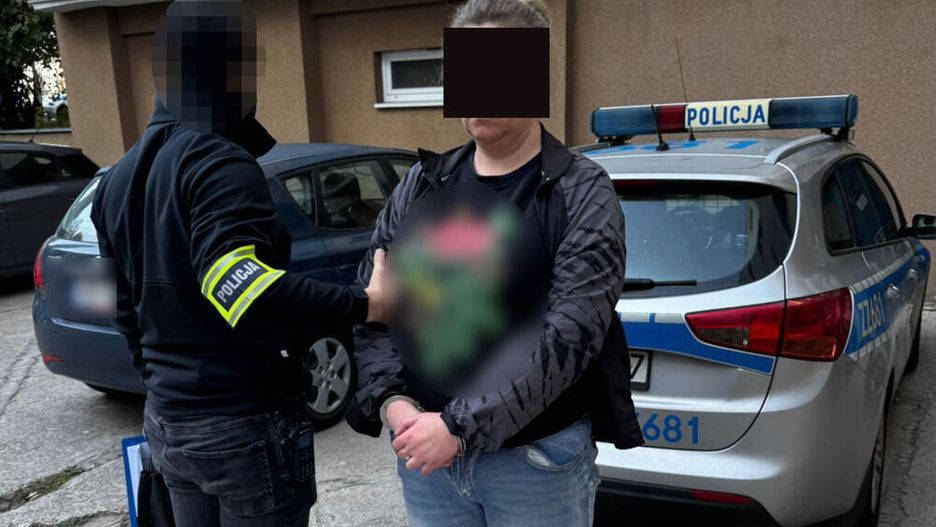 Fot. Licencjodawca