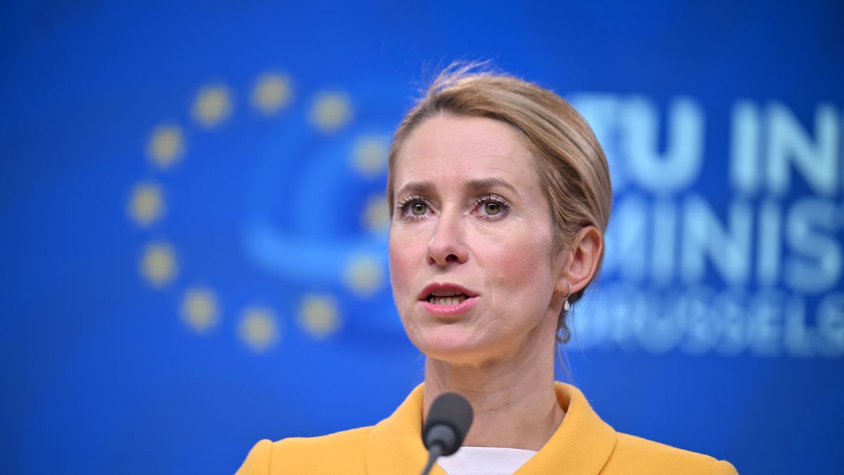 EU High Representative for Foreign Affairs and Security Policy Kaja Kallas
BRUSSELS, BELGIUM - NOVEMBER 21: European Union (EU) High Representative for Foreign Affairs and Security Policy Kaja Kallas makes a speech as she holds a press conference on the EU Indo-Pacific Ministers' Forum in Brussels, Belgium on November 21, 2025. (Photo by Dursun Aydemir/Anadolu via Getty Images)
Anadolu
brussels, eu, eu indo-pacific ministers forum, security policy
