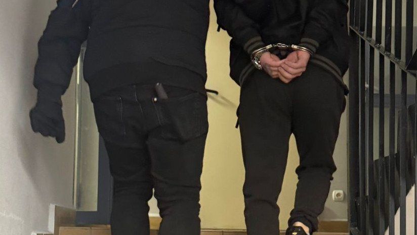 policja