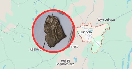 Ma setki lat. Trudno uwierzyć, skąd wzięła się w Polsce