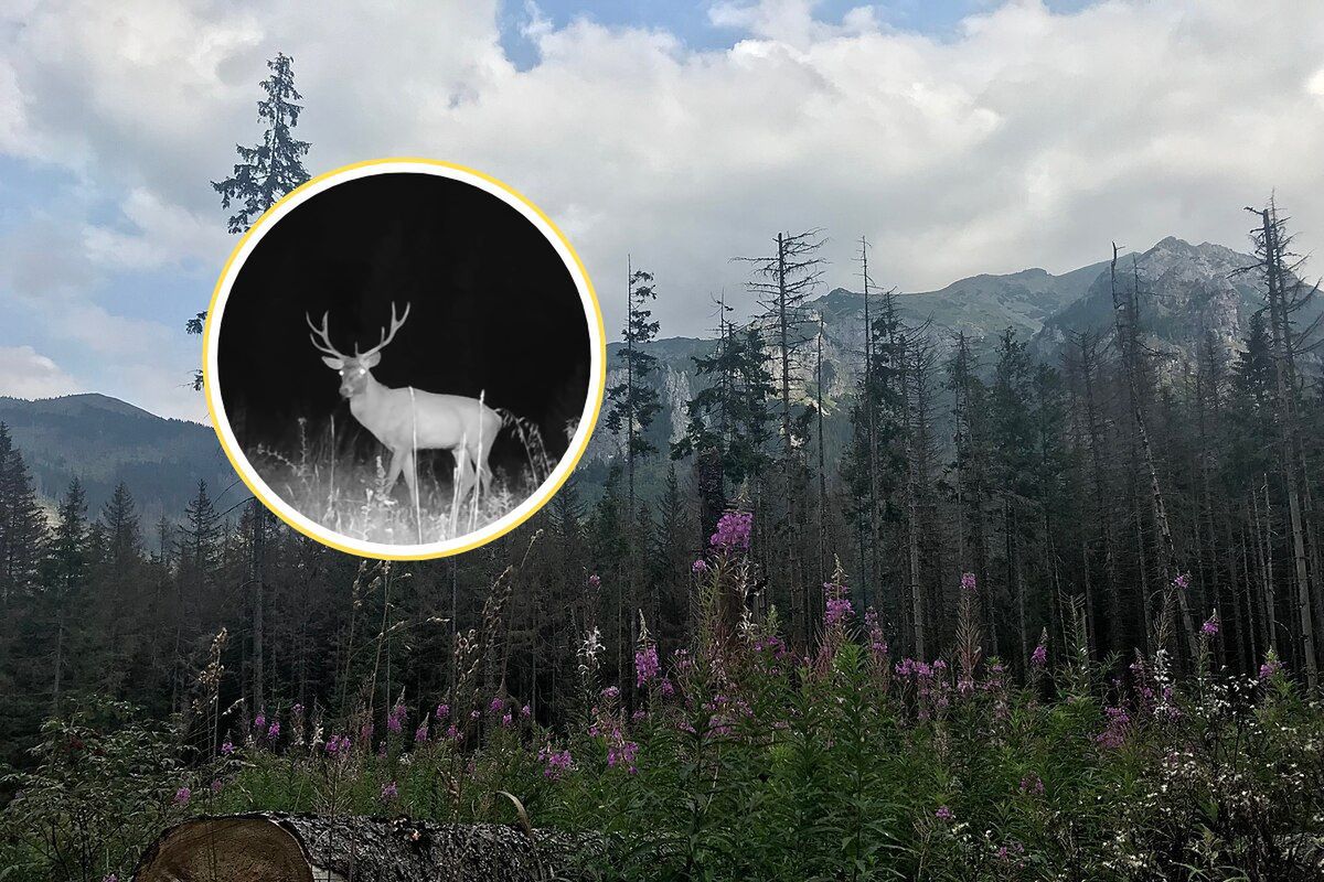 TOPR: nie blokujcie numeru. Niebywałe, z czym dzwonią turyści