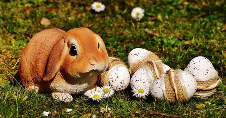 Śmieszne życzenia wielkanocne. Wyślij bliskim i popraw im humor