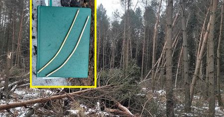 Zostawił w lesie kartkę z informacją. Leśnicy nie kryją oburzenia