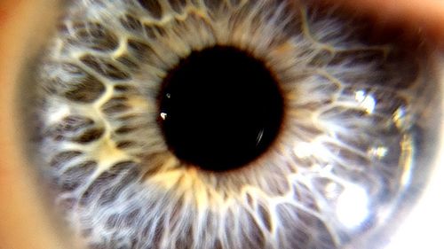 (Nie)pewne systemy biometryczne 1