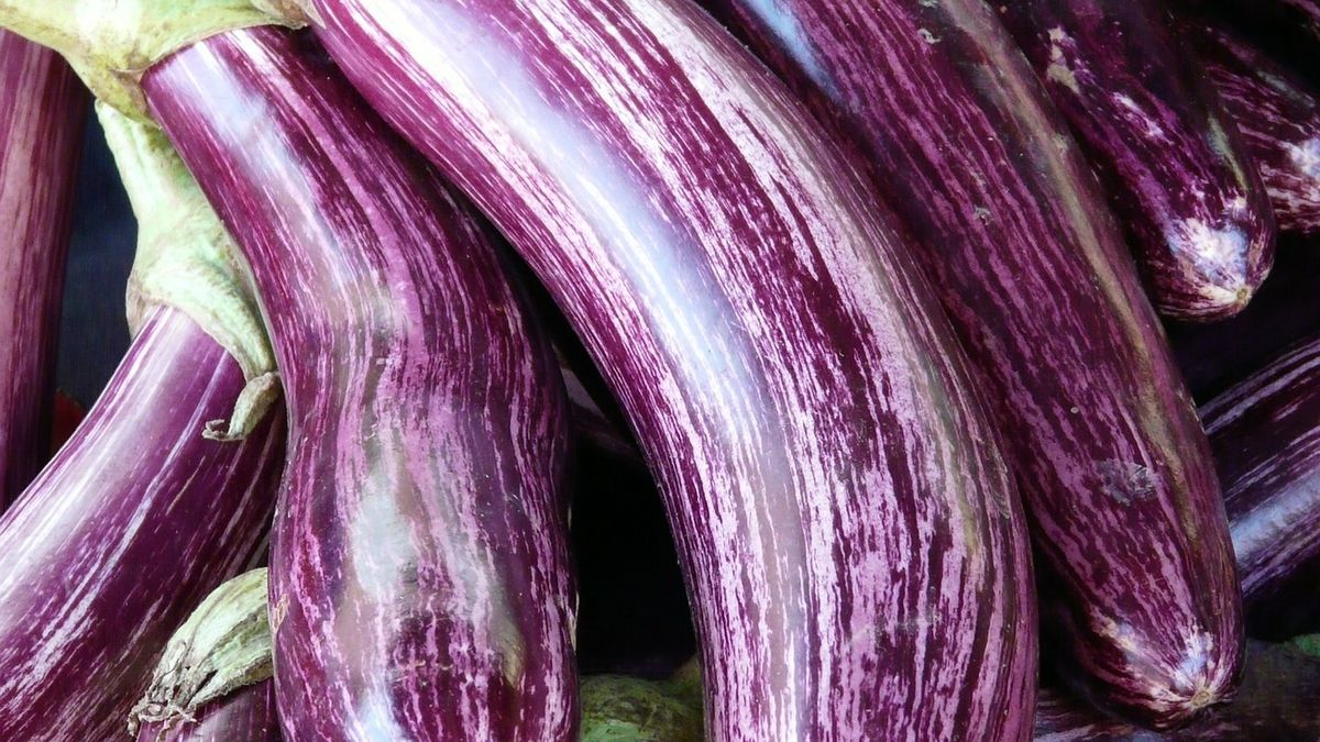 Serowa zapiekanka z bakłażanem