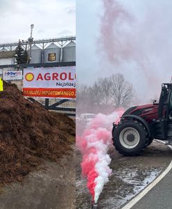 Rolnicy nie mieli litości. Wielka kupa pod siedzibą importera zboża