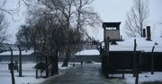 Dyrektor Muzeum Auschwitz: w sposób szczególny chcemy się skupić na ocalałych