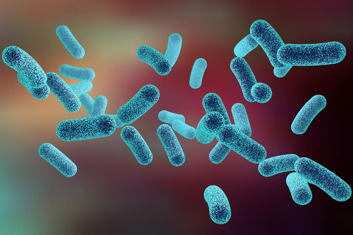 Bakteria coli - objawy i leczenie infekcji u dzieci