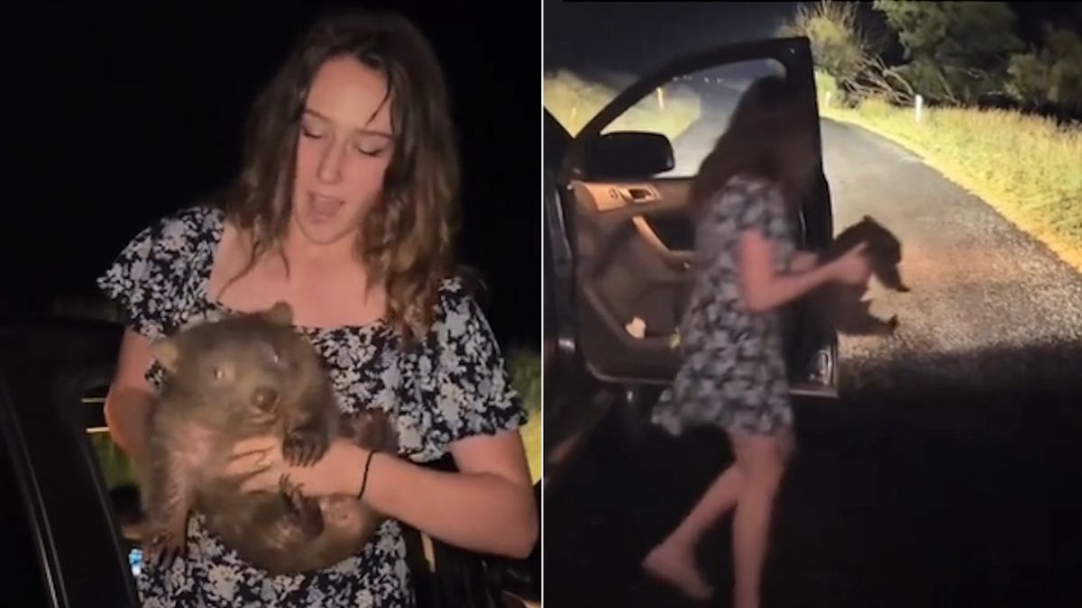 Influencerka dosłownie porwała wombata od matki