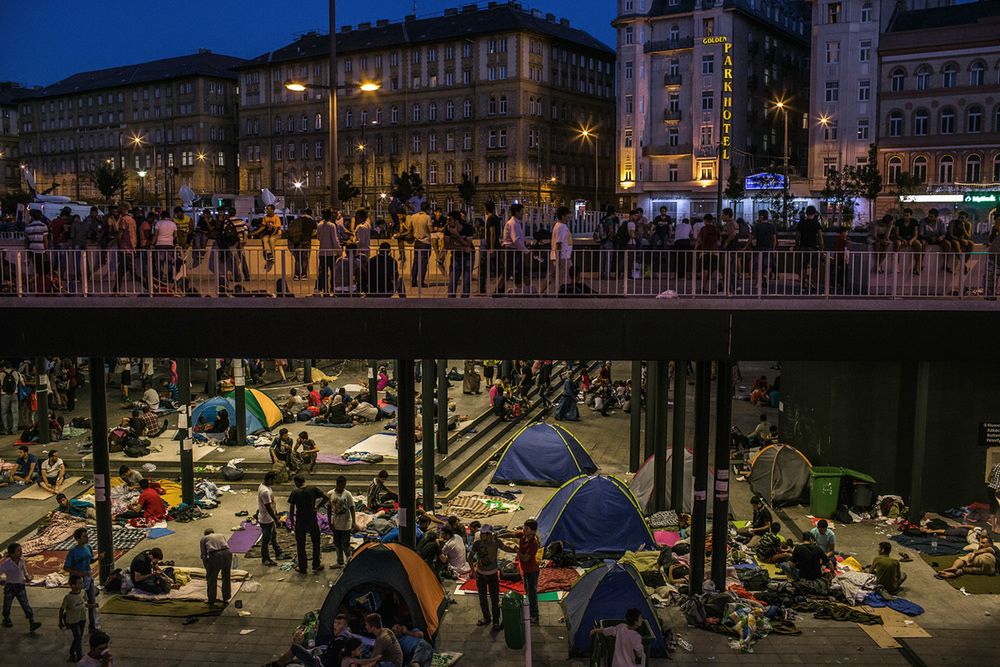 Zgłoszenia napływały dosłownie z całego świata – fotografowie pochodzili łącznie ze 127 krajów. Jury miało nie lada orzech do zgryzienia, lecz po godzinach recenzowania oraz dyskusji wyłoniło prace, które są według nich warte zaprezentowania. Prezentowani fotografowie są uważani za najlepszych z najlepszych w 2016 roku.