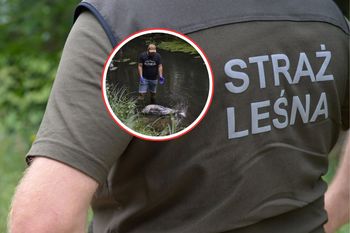 Rysicę znaleźli w rzece. Ktoś ją zastrzelił. Szokujące ustalenia