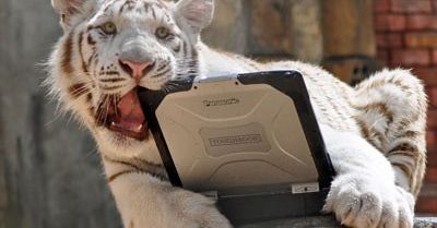 Tygryso odporny laptop (wideo)
