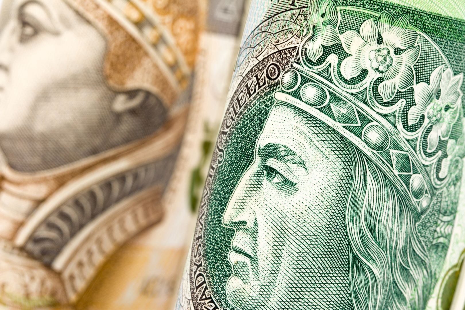 PLN, banknoty, biznes, gotówka, nagroda, plik, polskie, premia, waluta, wynagrodzenie, pieniądze