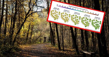 Najnowsza prognoza pogody na październik. Jakie będą temperatury?