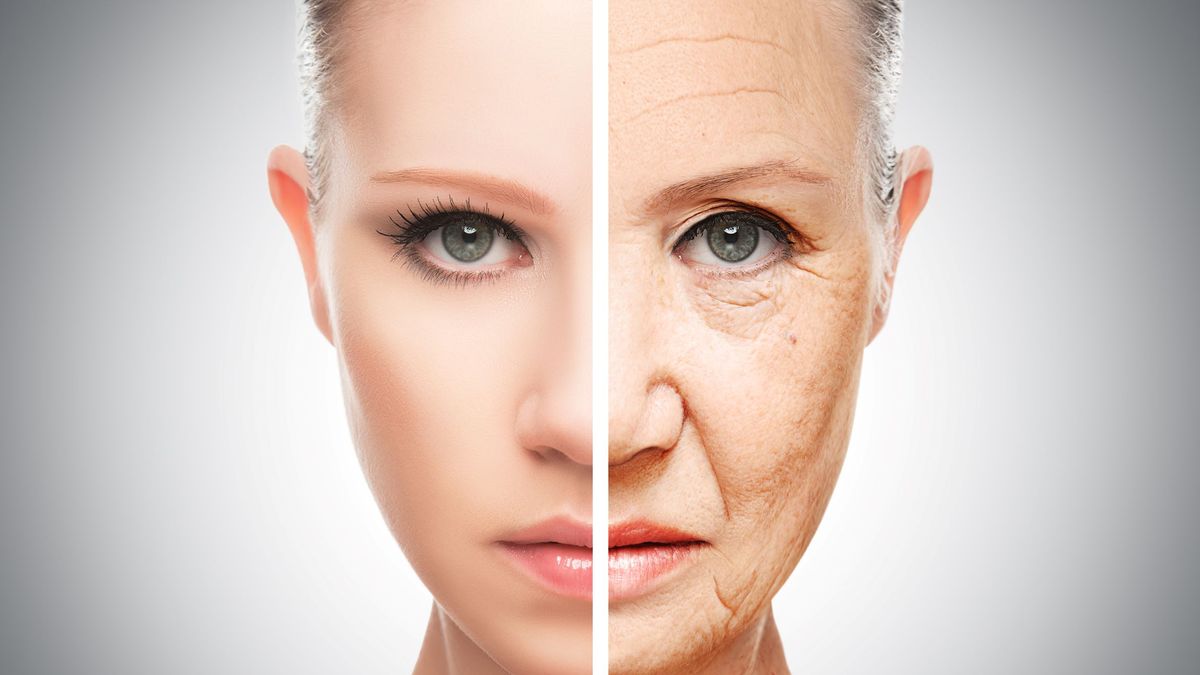 Wiek biologiczny określa stan zdrowia i kondycję organizmu.