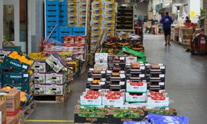 Mroźna zima. Oto co się dzieje z cenami warzyw i owoców