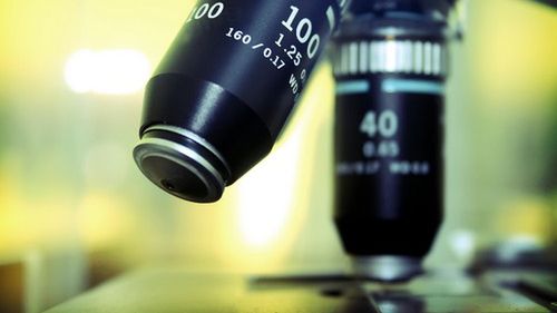 Czy twój dezodorant testowano na zwierzętach? 1